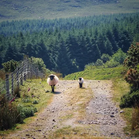 Oak Tree - 3 Bedroom Louisburgh