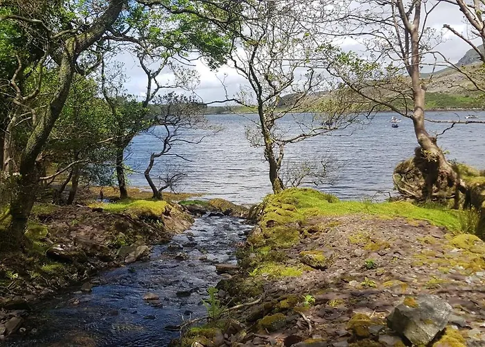 Oak Tree - 3 Bedroom Louisburgh